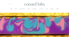 Desktop Screenshot of canardlabs.com